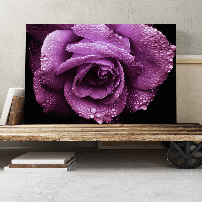 Flower Purple Rose Photographic - Wrapped Canvas, 70cm H x 100cm W