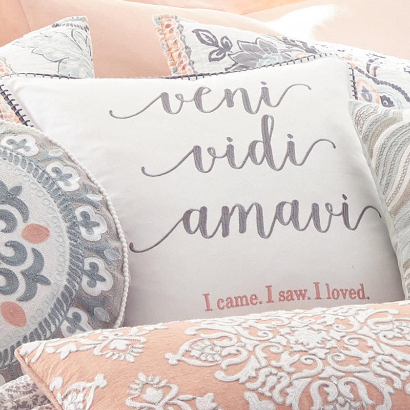 Darcy Veni Vidi Pillow