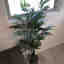 Customer photo 2 of 2