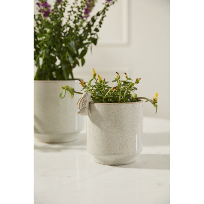 Sneaky Bunny Pot