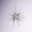 Jazmin 6 - Light Dimmable Geometric Chandelier-1406559612