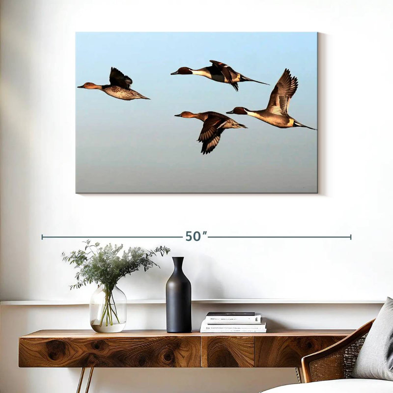 Canards pilet Brampt, H 26 po x l 39 po