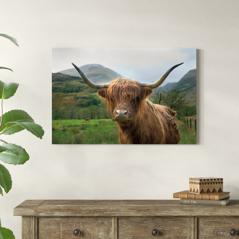 Bouvier écossais Highland II, H 36 po x l 24 po