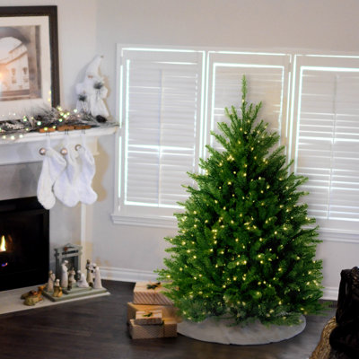 Dunhill Blue Fir Tree with Clear Lights
