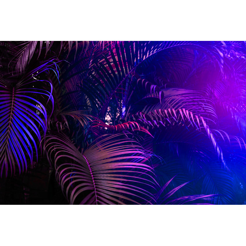 Palm Leaves Pattern by JulyProkopiv - Wrapped Canvas Print, 30cm H x 46cm W