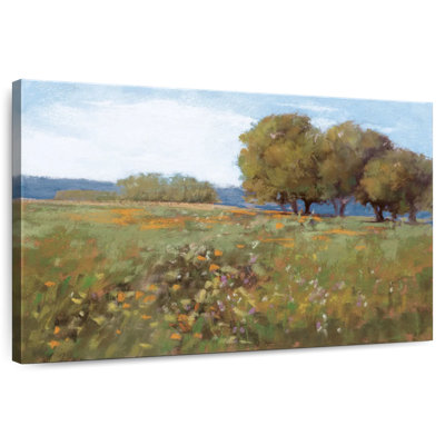 Alvord Spring Day Meadow