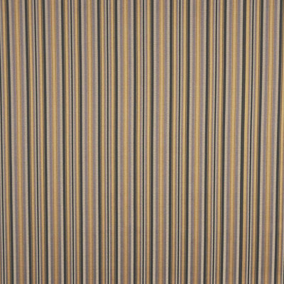 Tissu général