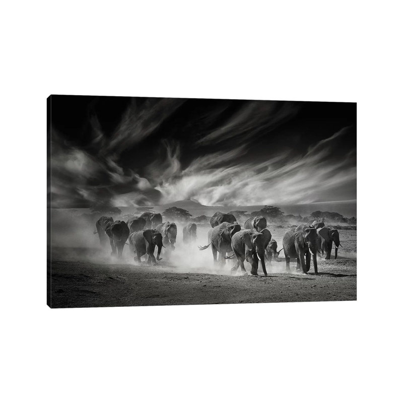 The Sky, The Dust And The Elephants - Wrapped Canvas Print, 30.48cm H x 45.72cm W x 1.905cm D