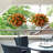 Lilies Arrangement