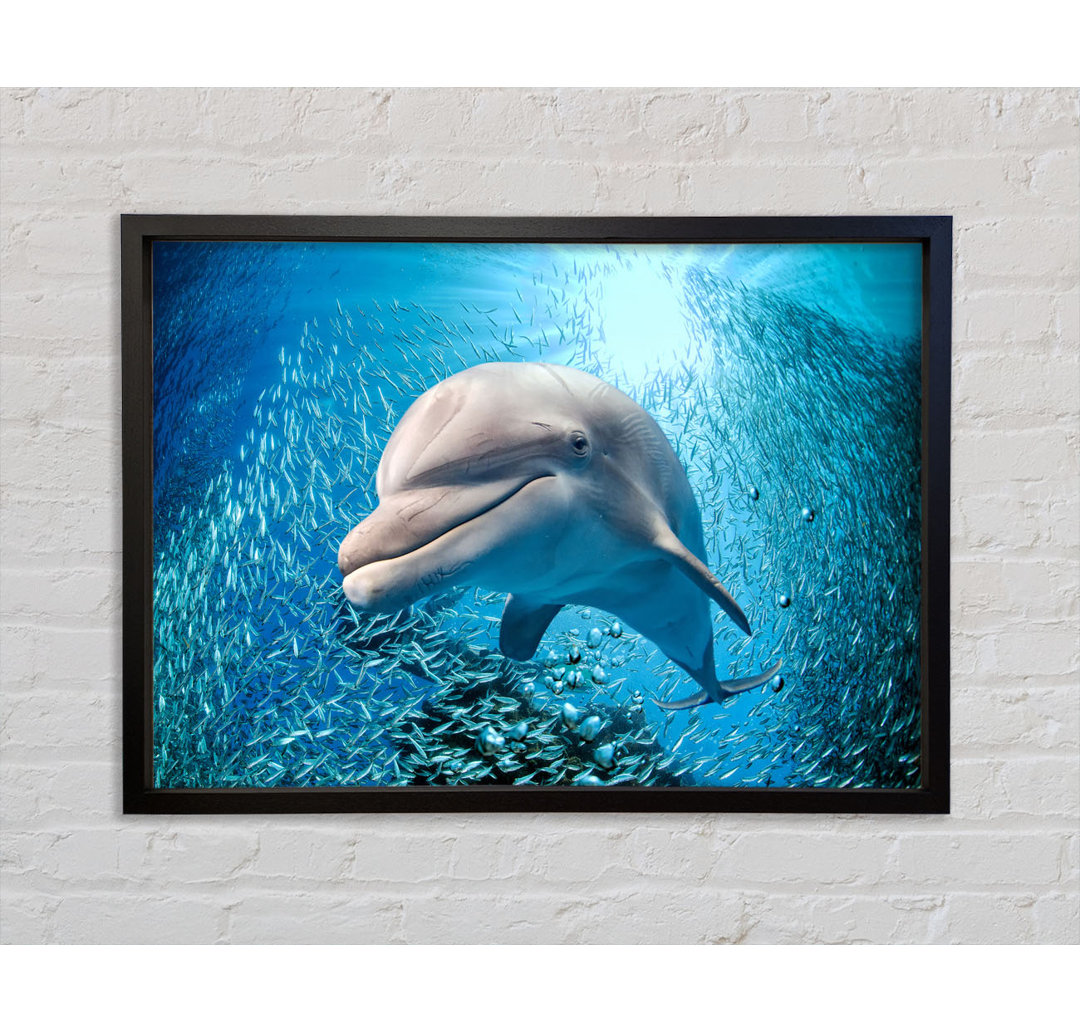 Dolphin Dinner Time - Bilderrahmen Kunstdrucke auf Leinwand