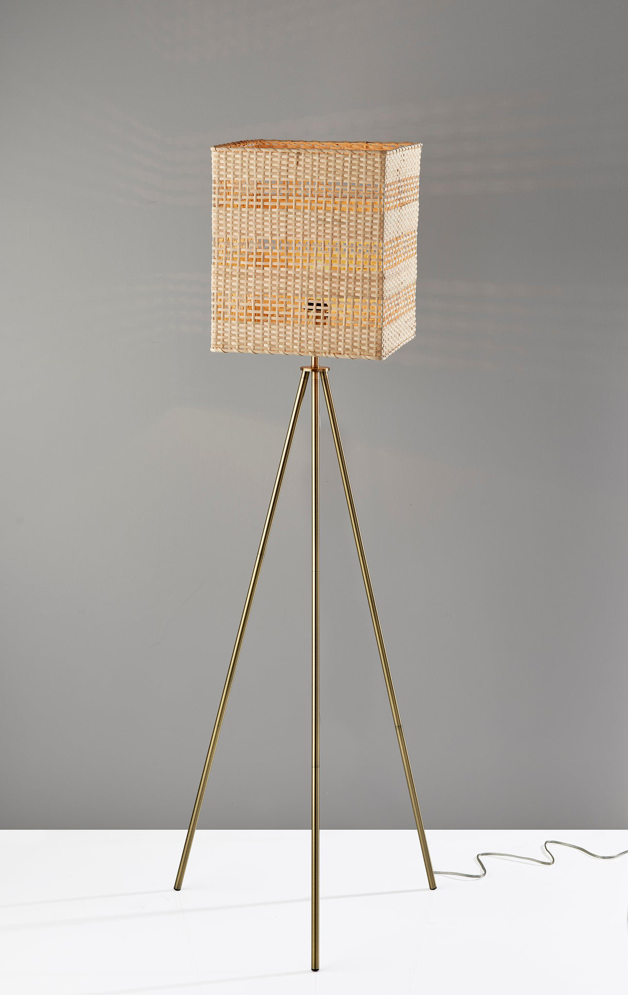 Willa Arlo™ Interiors Morethampstead 65" Tripod Floor Lamp - Wayfair Canada