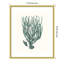 «Antique Coastal Coral VIII» par Johann Esper, impression sur bois encadrée-520552507