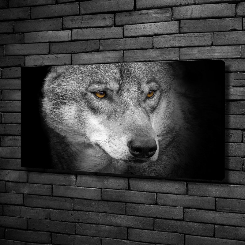 Wolf - Wrapped Canvas Print