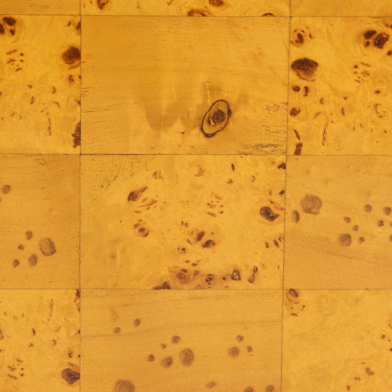 La table de bout Eloise Natural Burl Wood est moderne et contemporaine