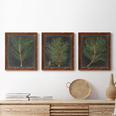 " Dramatic Pine I " 2 - Pieces Painting Print