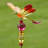 Bethlehem Weather Resistant Insects Garden Stake