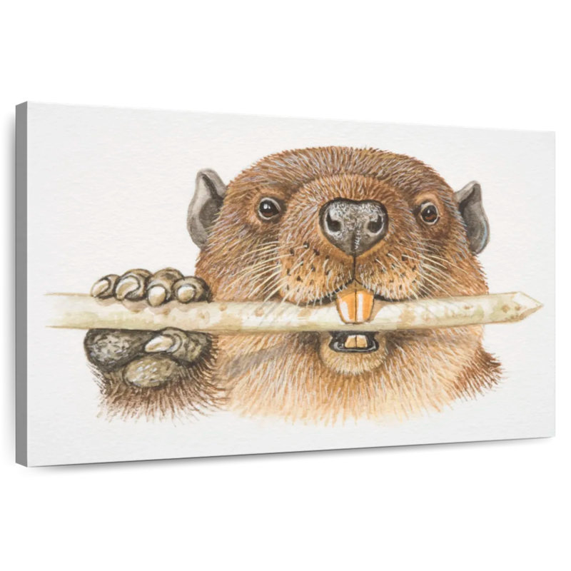 Beaver rongeur rongeant une branche