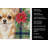 Fawn Chihuahua Christmas PoinsettIas Kitchen Towel-2080584031