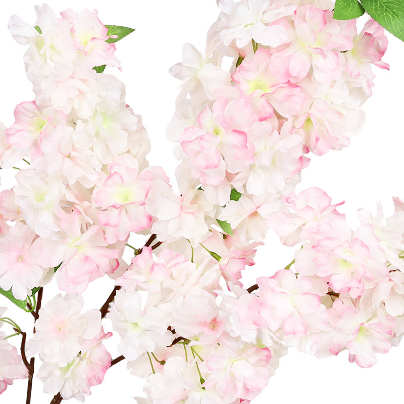 Jet de fleurs de cerisier, Rose clair