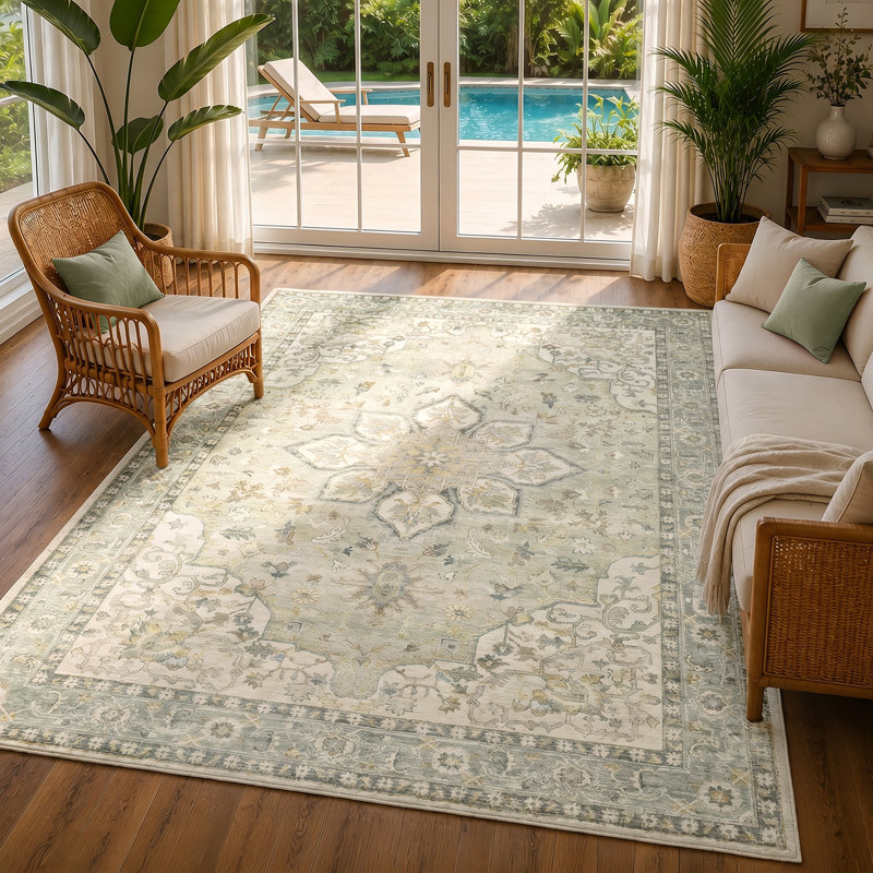 Michael Oriental Area Rug, Rectangle 200 x 275 cm