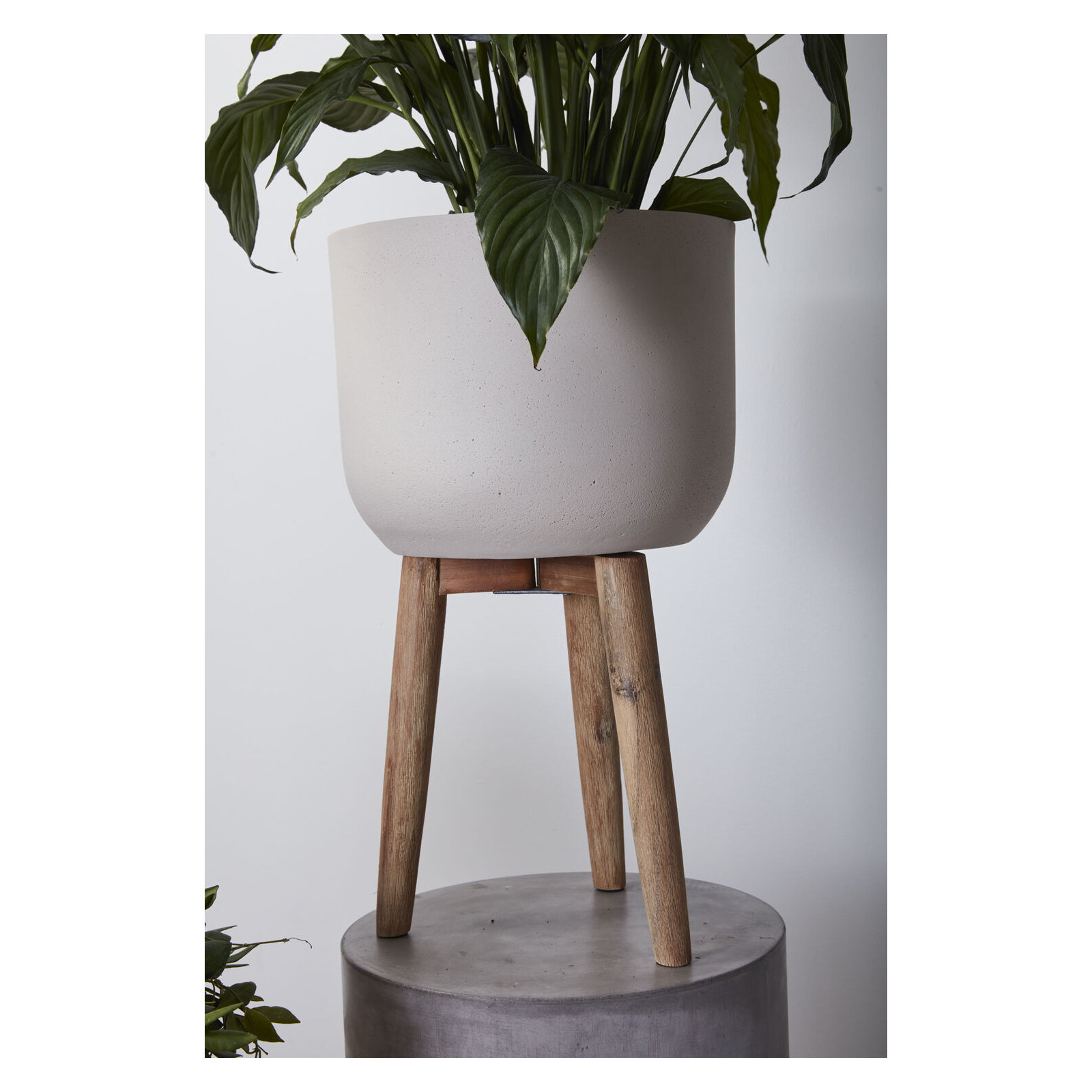 Luminara Plant Stand