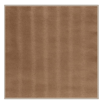 Machine Washable Solid Brown Area Rug