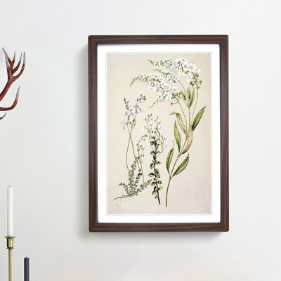 Veronica Flowers by Sarah Featon - Picture Frame Painting Print