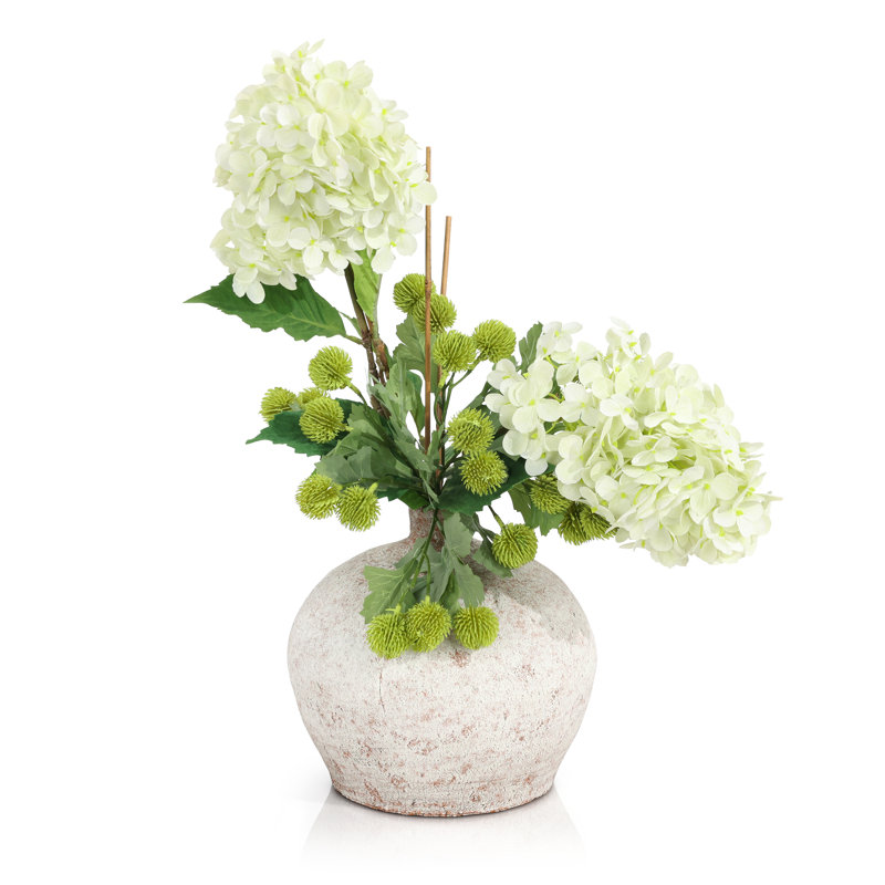 Hortensias des bois