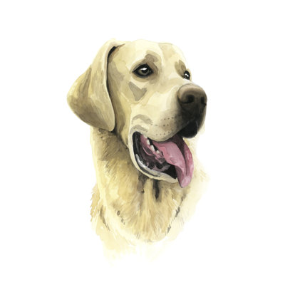 Sunny Boy I - Wrapped Canvas Painting