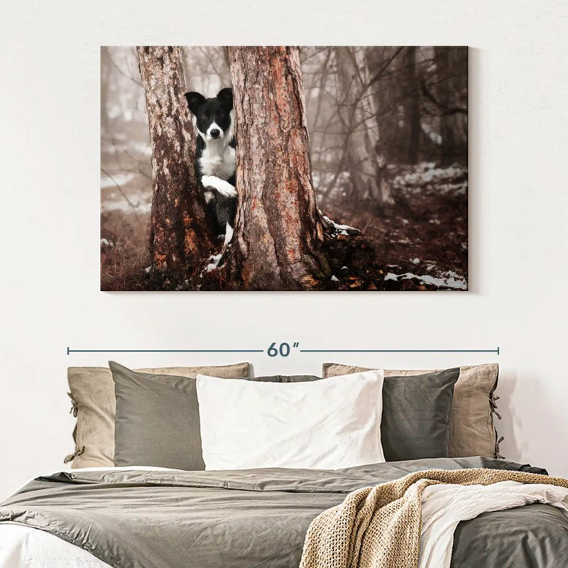 Brampt Playful Border Collie, 34'' H x 51'' W