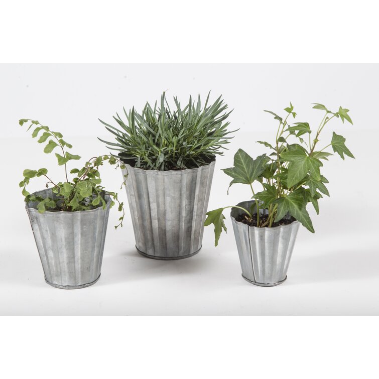 Ophelia Natural Extra-Large Planter + Reviews