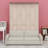 Murphy Bed With Sofa And LED