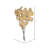 0.25'' Plant