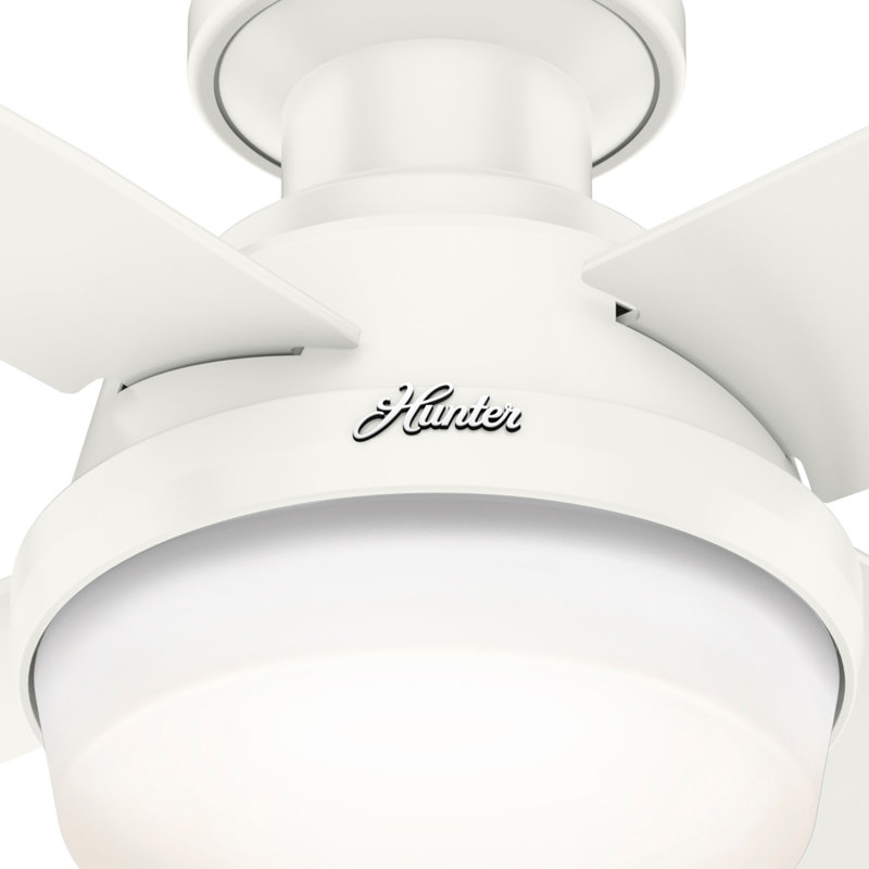 Ventilateur de plafond d'extérieur encastré à 4 pales 44 po avec ensemble d'éclairage Dempsey, Blanc frais
