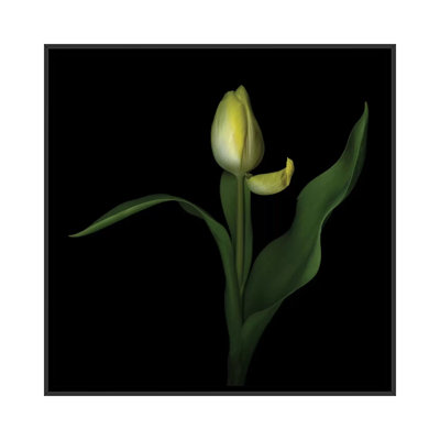 Nonchalance by Magda Indigo - Gallery-Wrapped Canvas Giclée