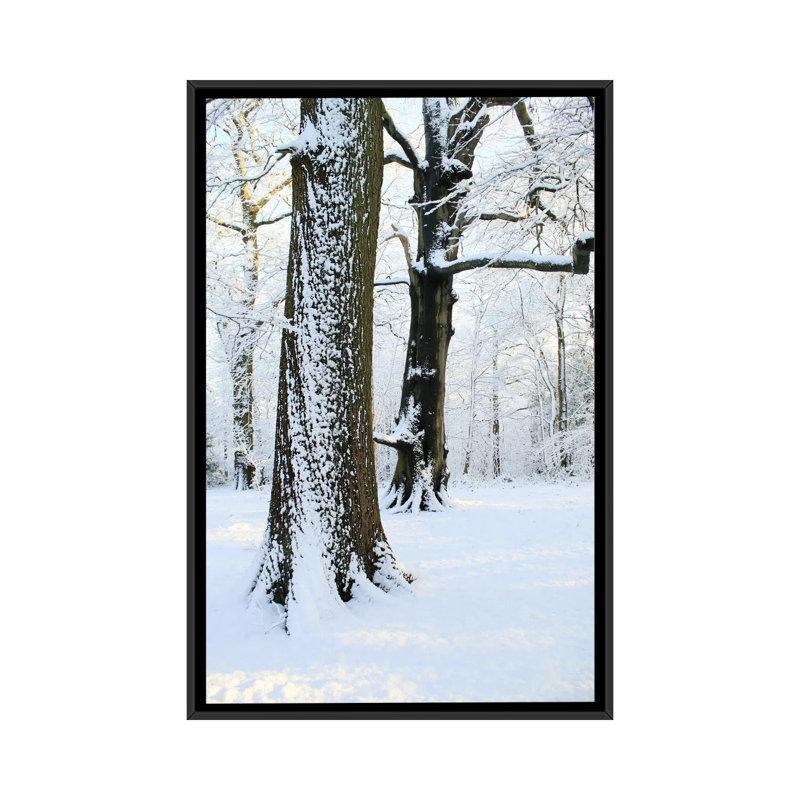 Deux arbres couverts de neige sont imprimés sur toile, H 26 po x l 18 po x P 1,5 po, Toile avec cadre noir, Pas de tapis