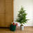 5' Pine Christmas Tree