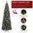 9' Lighted Pine Christmas Tree
