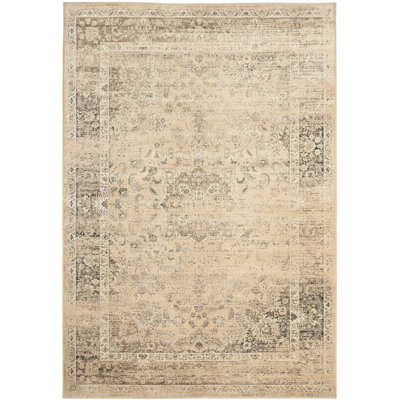 Evanoff Abstract Beige Area Rug