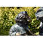 Deguzman Weather Resistant Plastic Garden Statue