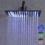 Wellman Rain Adjustable Shower Head-833624623