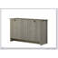 Console en chêne gris de 47 po de largeur avec tablettes et portes d'armoire Nyla, parfaite pour un rangement et une présentation élégants