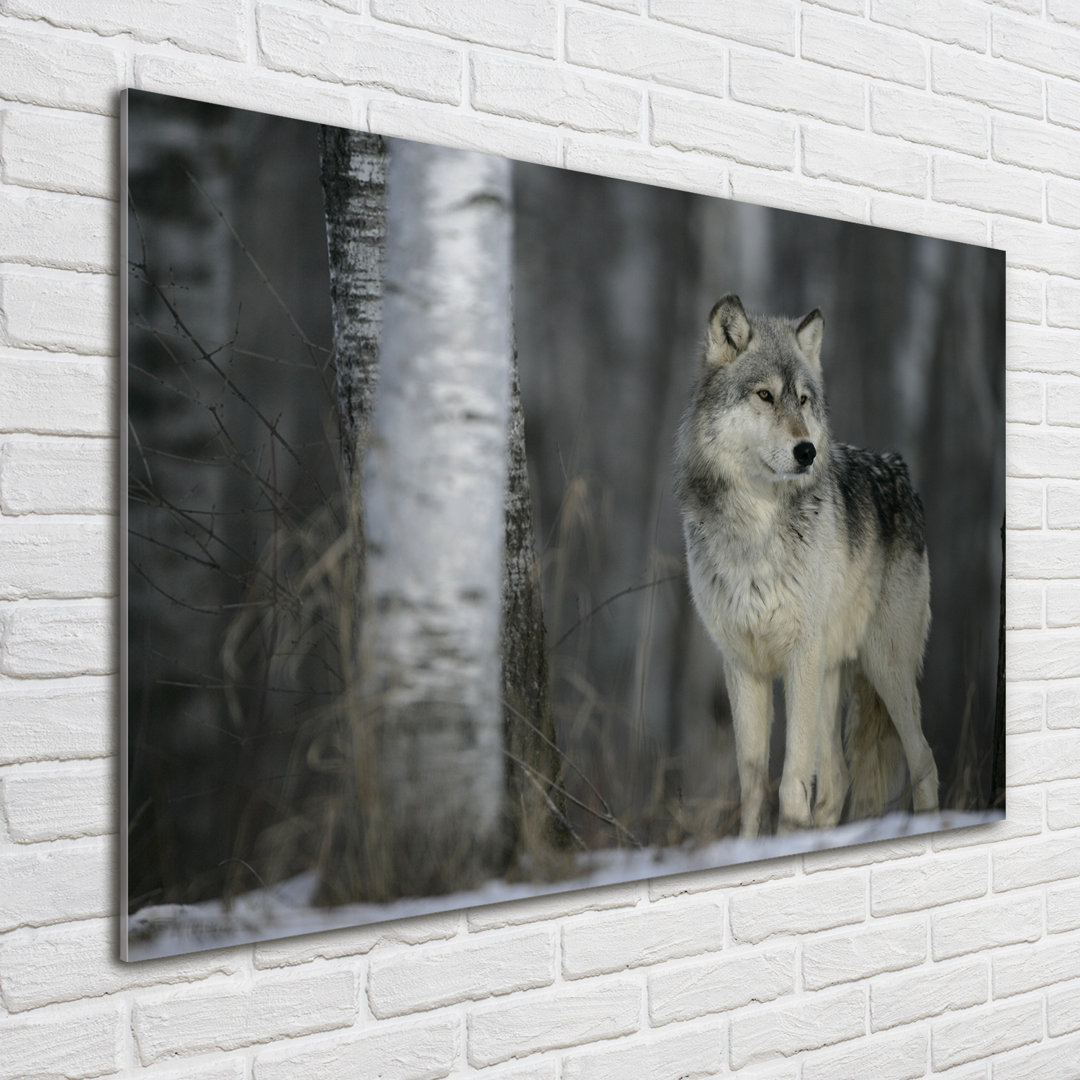 Glasbild Gray Wolf