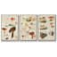 Champignon X-91887171-91887168