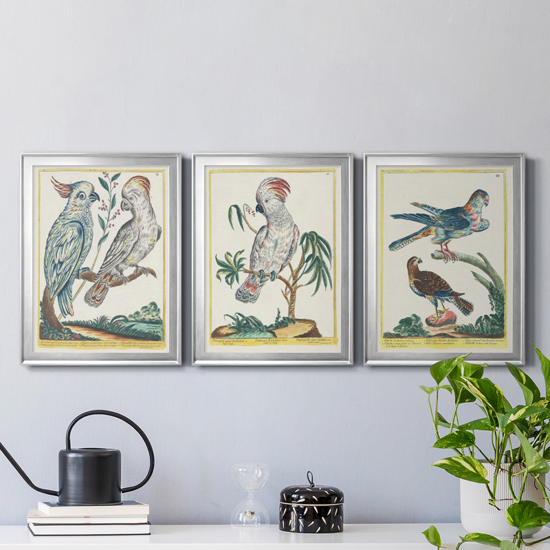 «Pastel Birds I», reproduction encadrée de qualité supérieure - prête à être accrochée, H 30,5 po x l 67,5 po x P 1 po