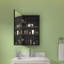 Arrionna Surface Mirrored Bathroom Cabinets 2 Adjustable Shelves with Mirror-1200431584-1200431587