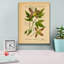 Epic Graffiti 'Atragene Alpina'  by Art Licencing Studio Canvas Wall Art, 26" x 34"-109177114