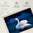 Brampt Pure White Swan-108816519