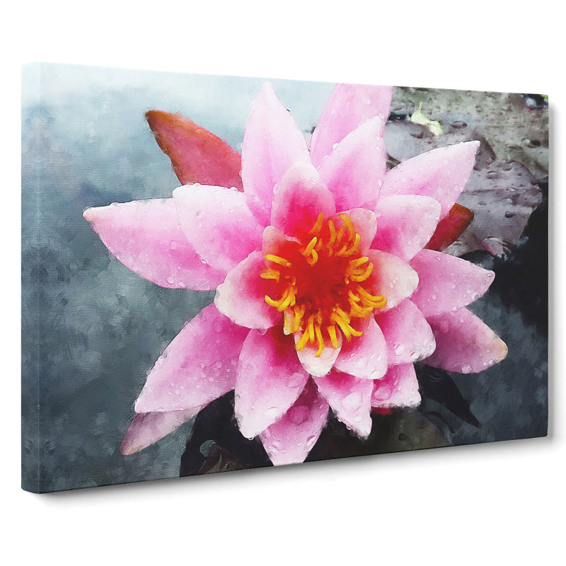 Pink Water Lily Flower Vol.4 - Wrapped Canvas Print, 50cm H x 76cm W x 3cm D