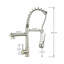 Belfry Kitchen Mascoutah Pull Out Kitchen Faucet